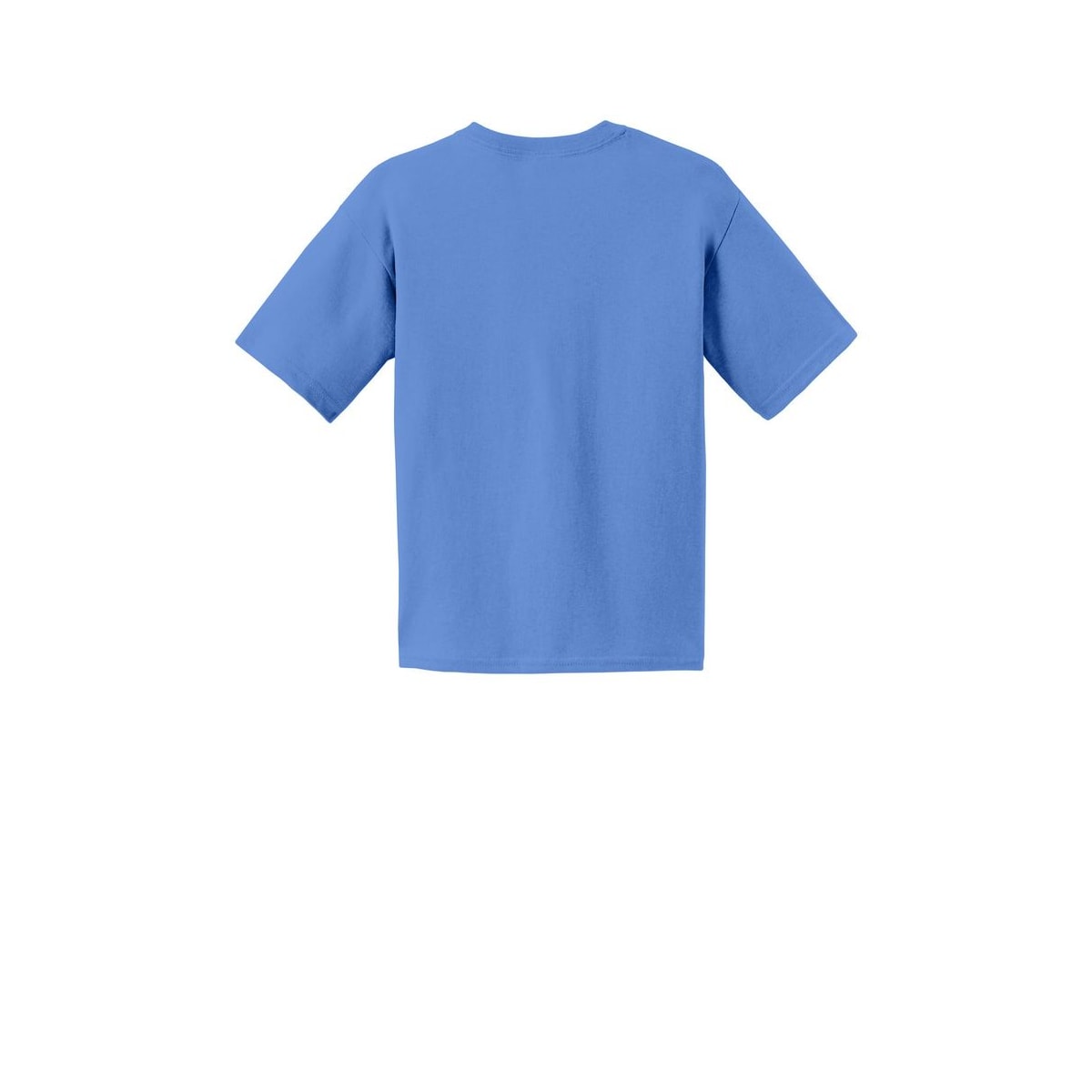 Gildan® Youth Cotton T-Shirt — Carolina Blue (Back)
