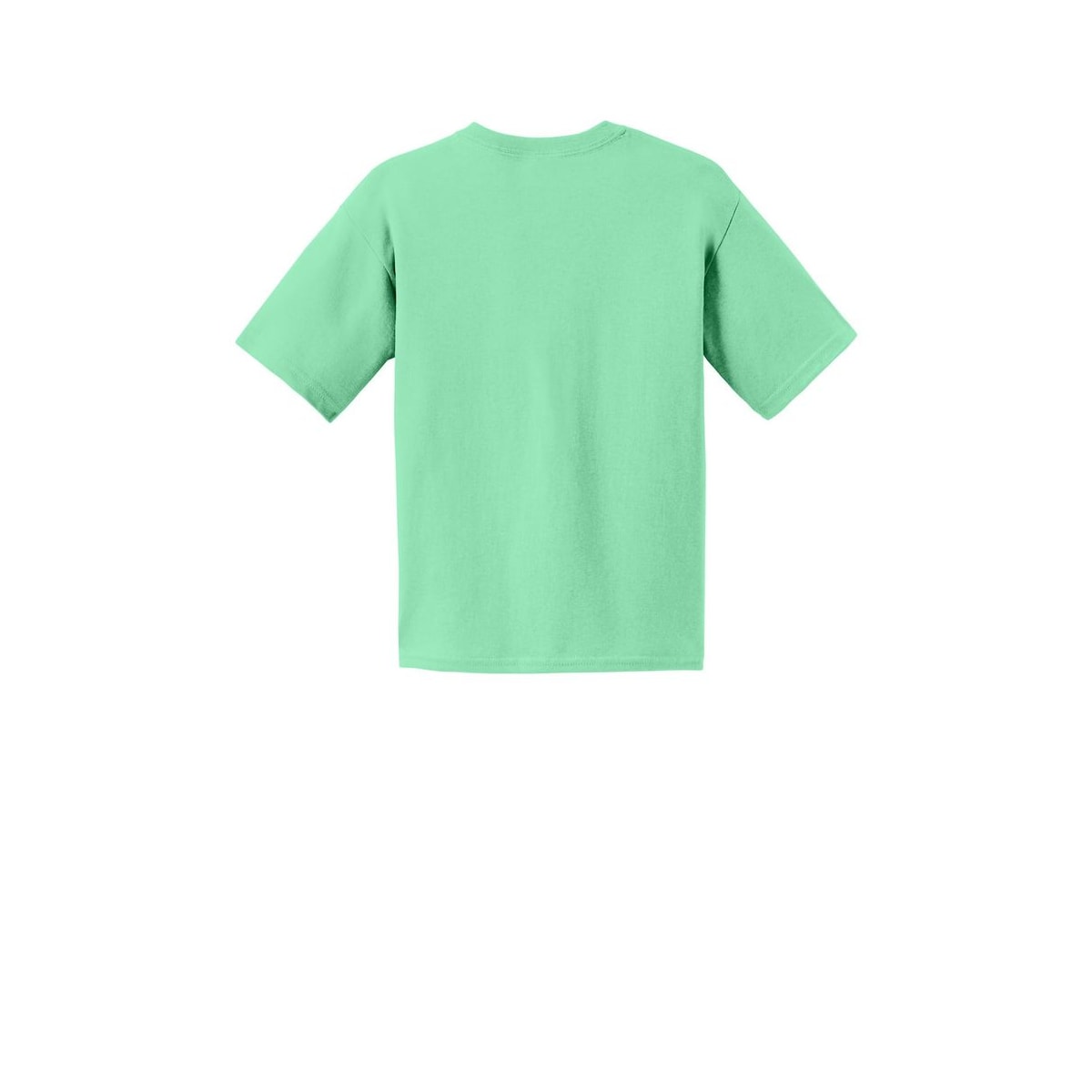 Gildan® Youth Cotton T-Shirt — Mint Green (Back)