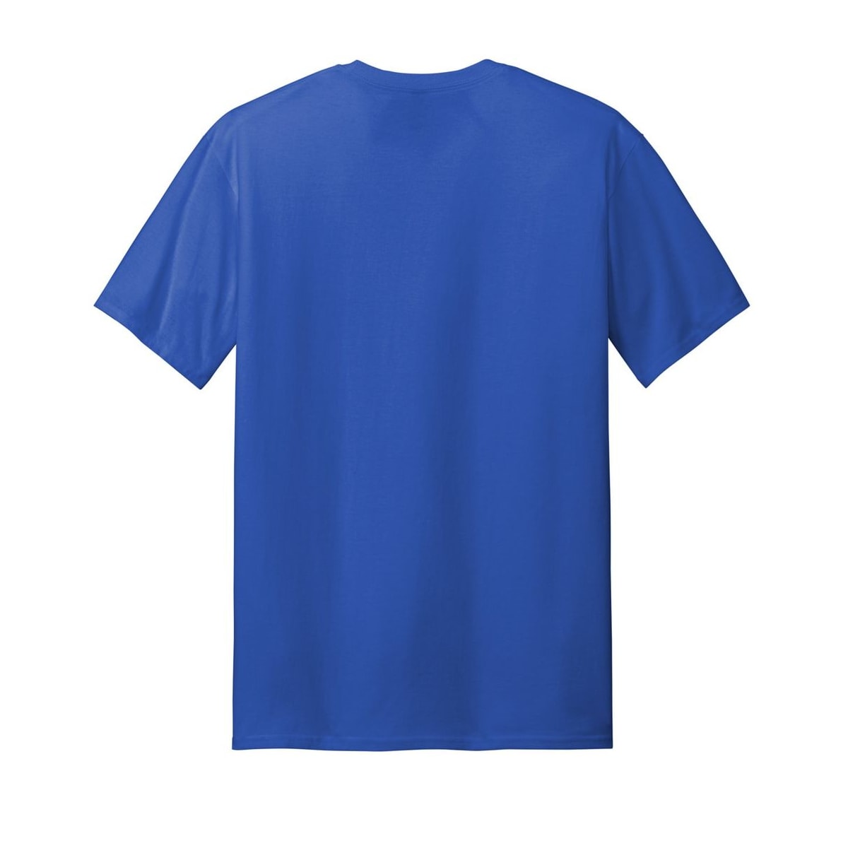 gildan-tall-100-us-cotton-t-shirt-2000t — Royal back