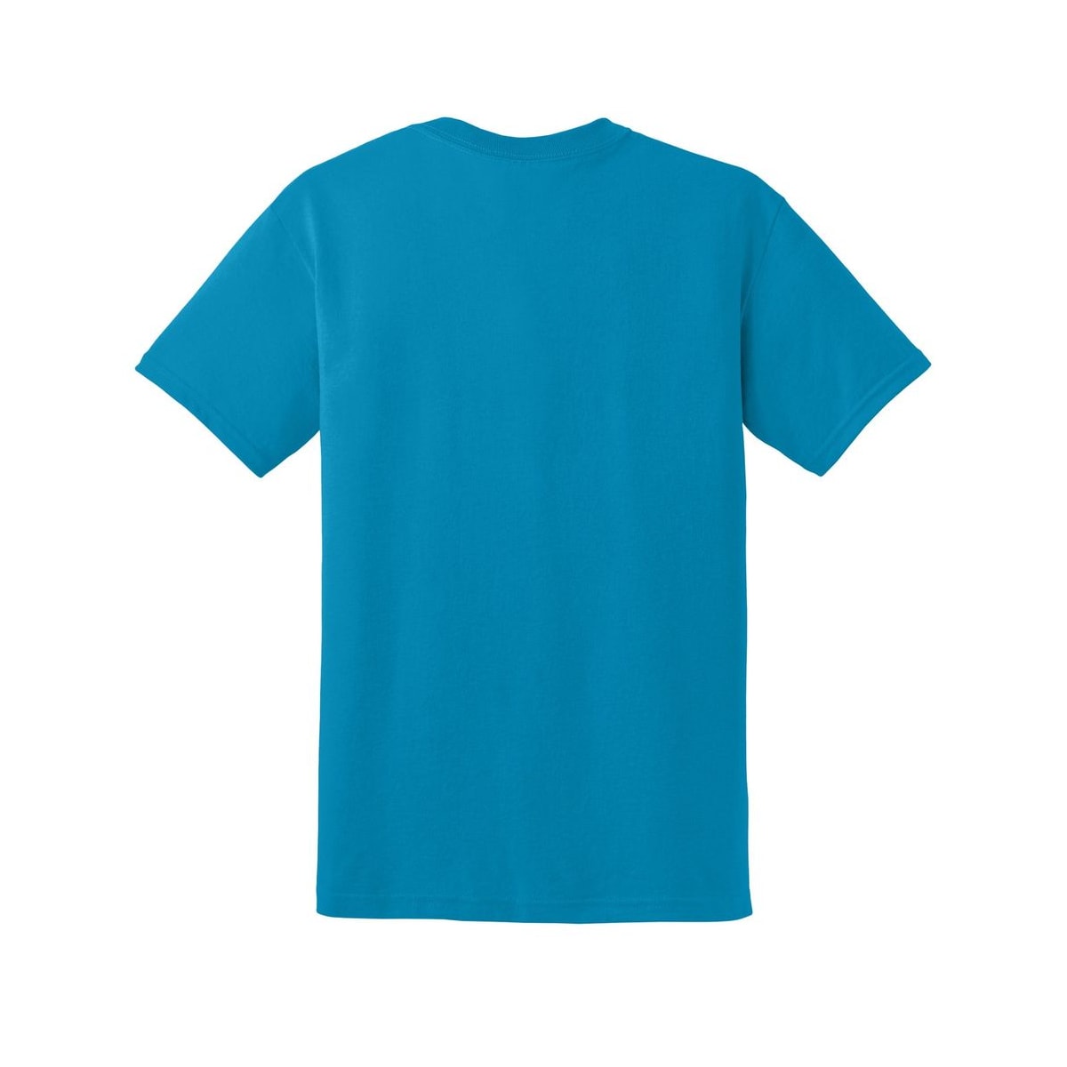 gildan-dryblend-t-shirt — Sapphire back