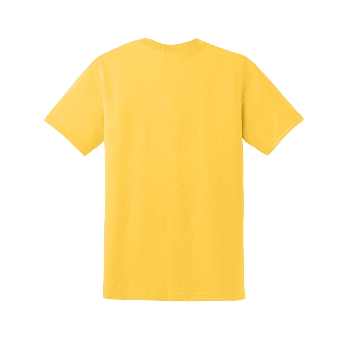 gildan-dryblend-t-shirt — Daisy back