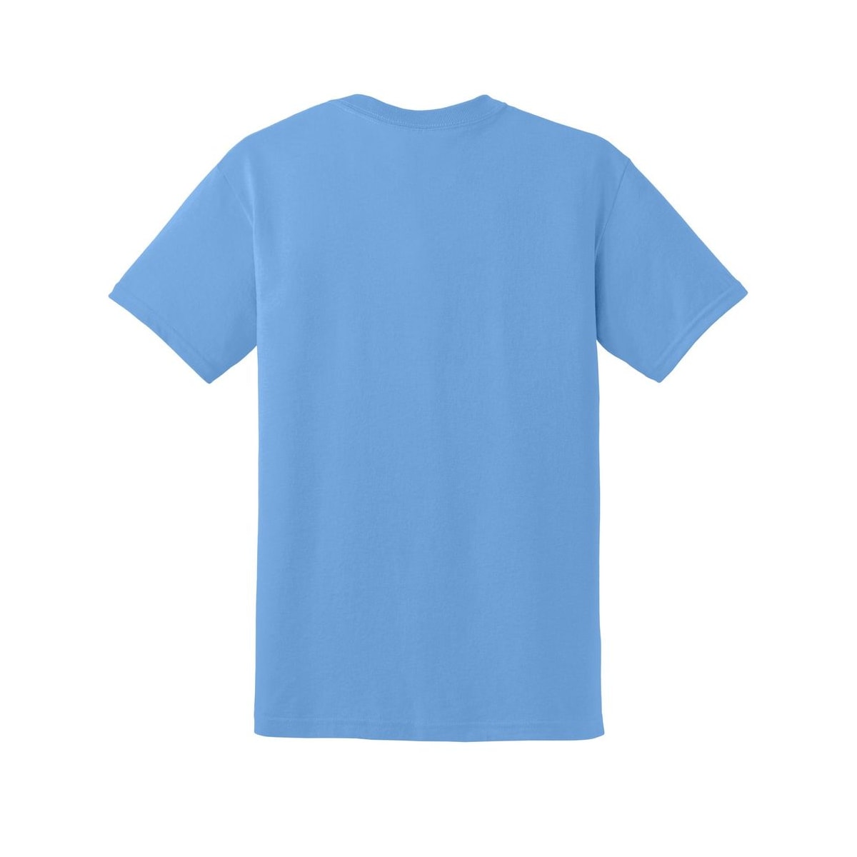 gildan-dryblend-t-shirt — Carolina Blue back