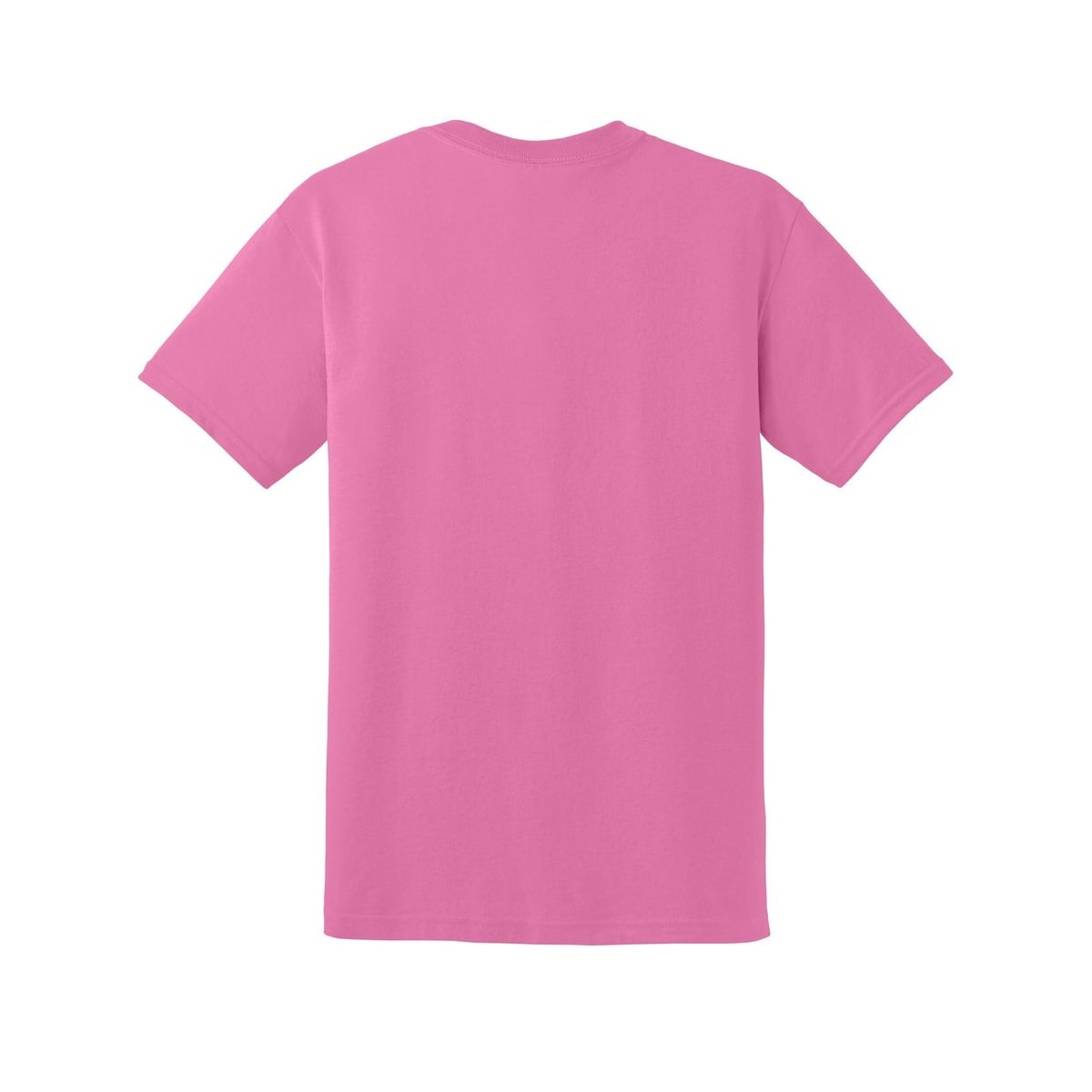 gildan-dryblend-t-shirt — Azalea back