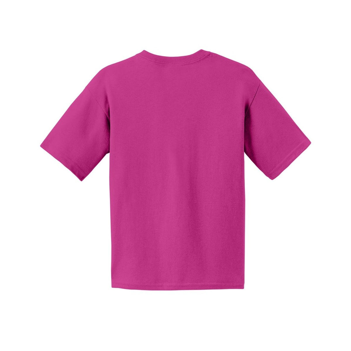 gildan-youth-cotton-t-shirt — Heliconia back