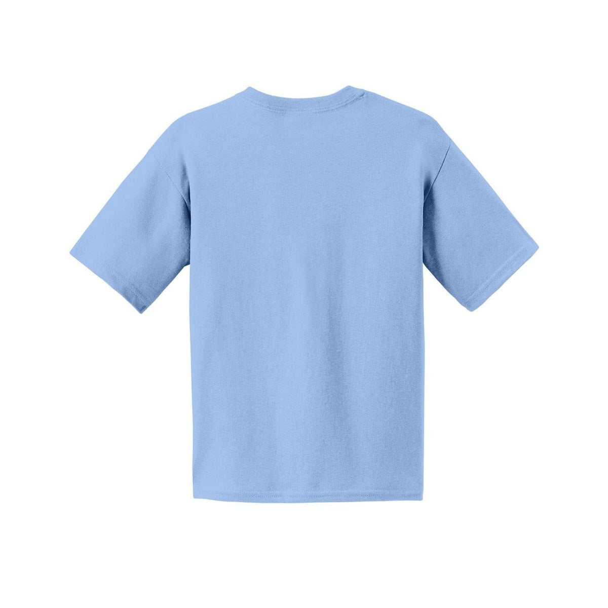gildan-youth-cotton-t-shirt — Light Blue back