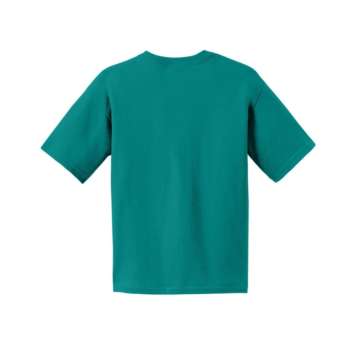 gildan-youth-cotton-t-shirt — Jade Dome back