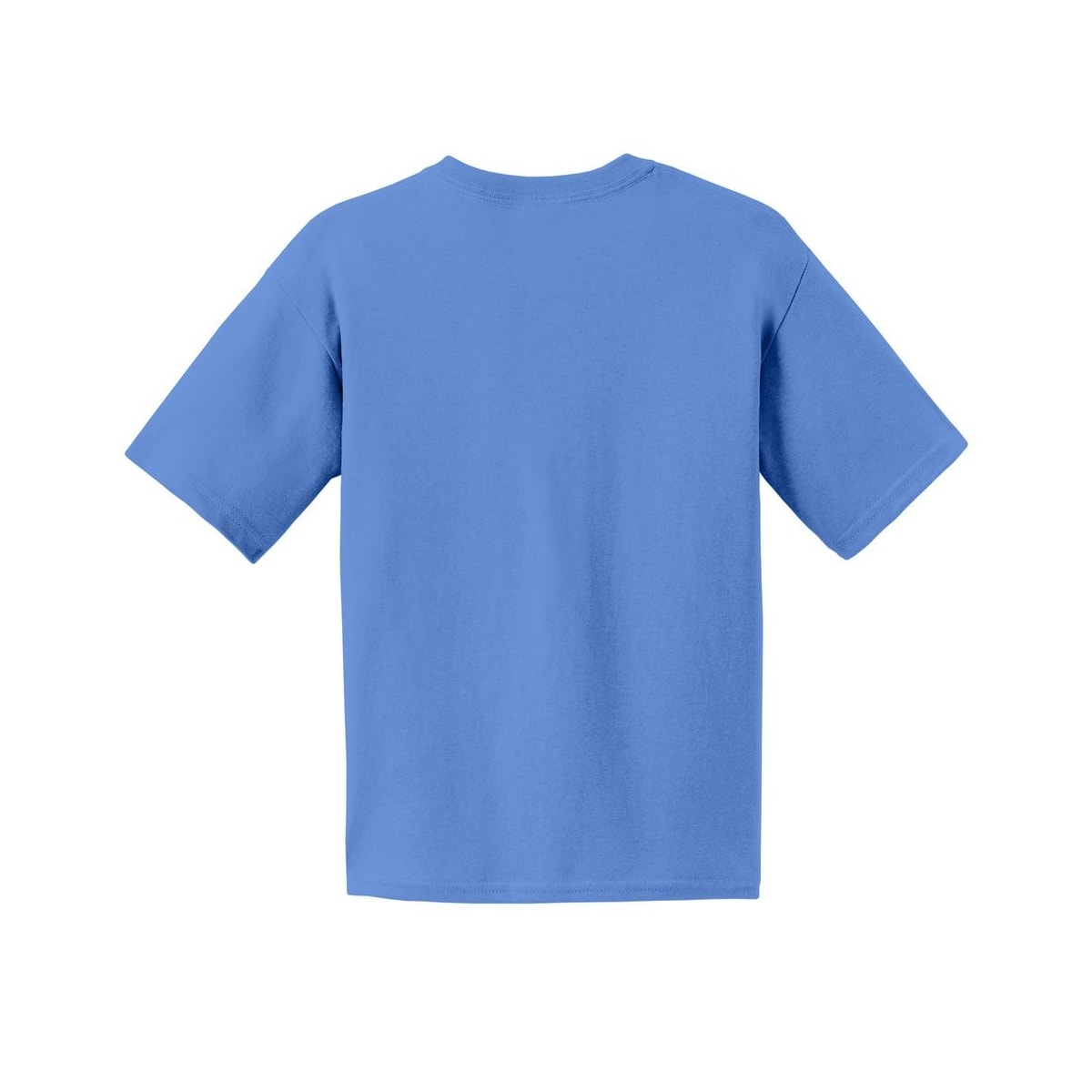 gildan-youth-cotton-t-shirt — Carolina Blue back