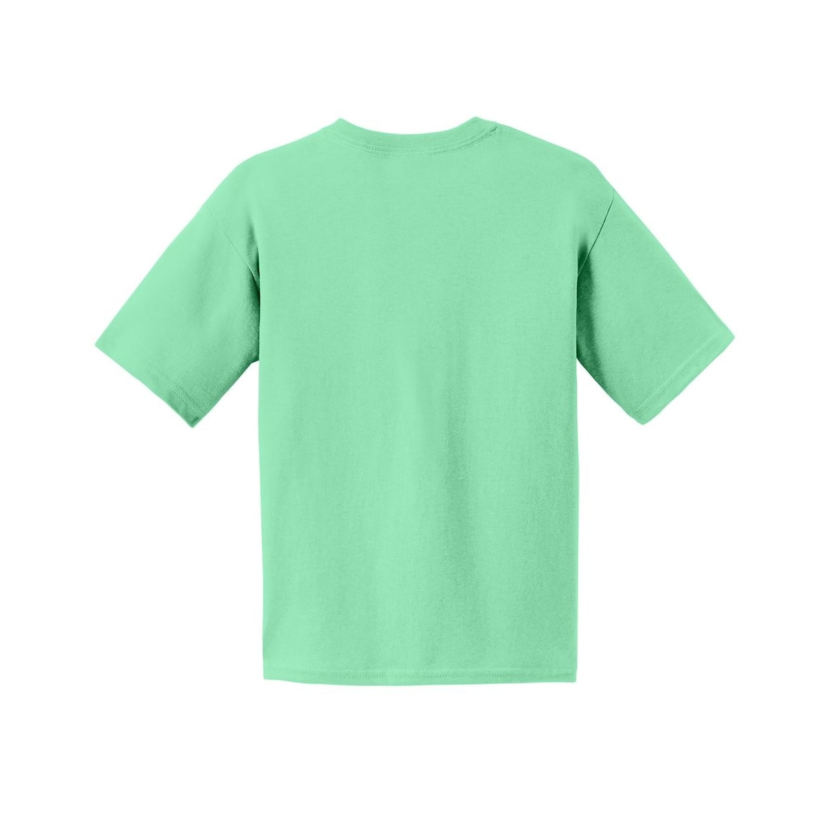gildan-youth-cotton-t-shirt — Mint Green back