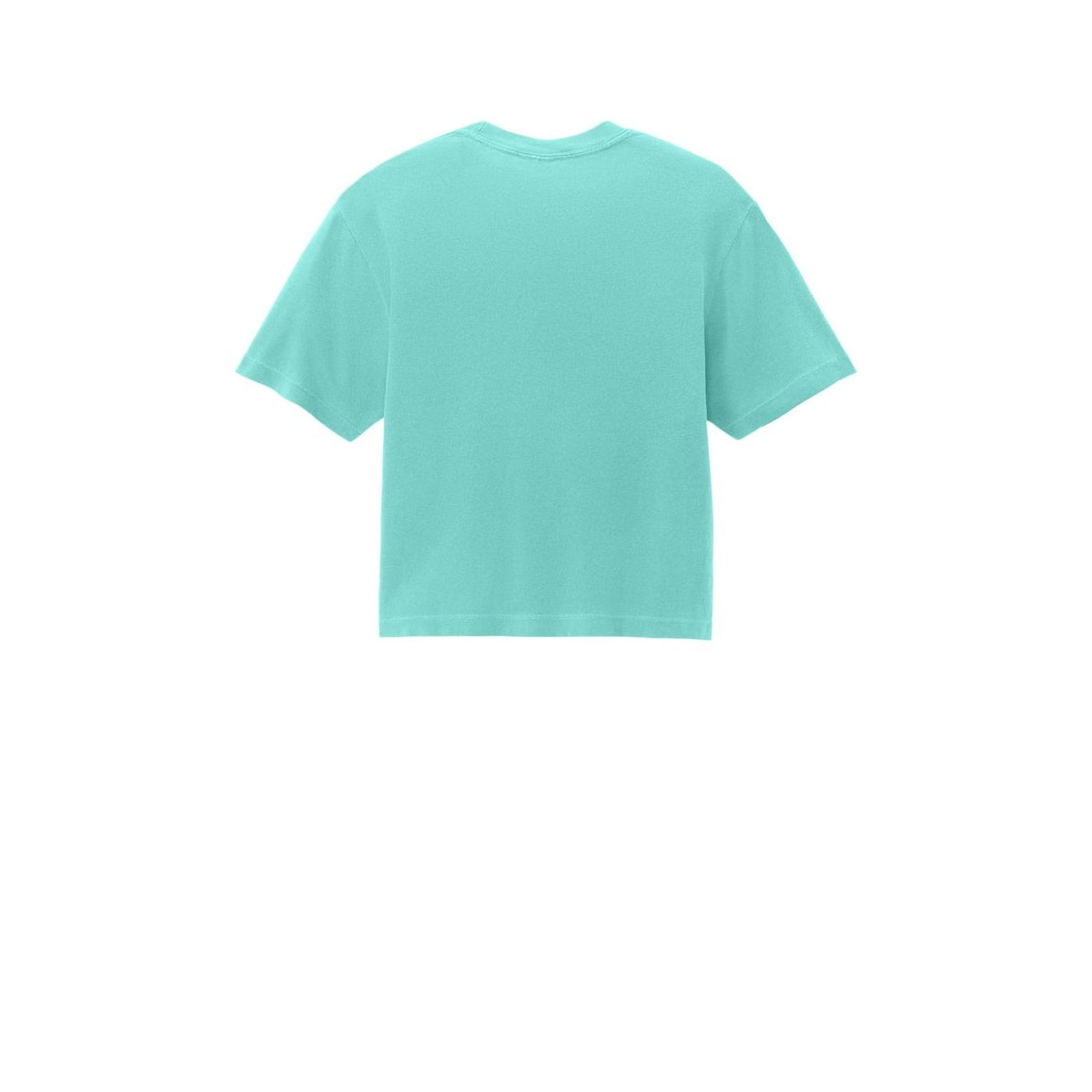 Comfort Colors Women's Heavyweight Boxy Tee — Chalky Mint (Back)