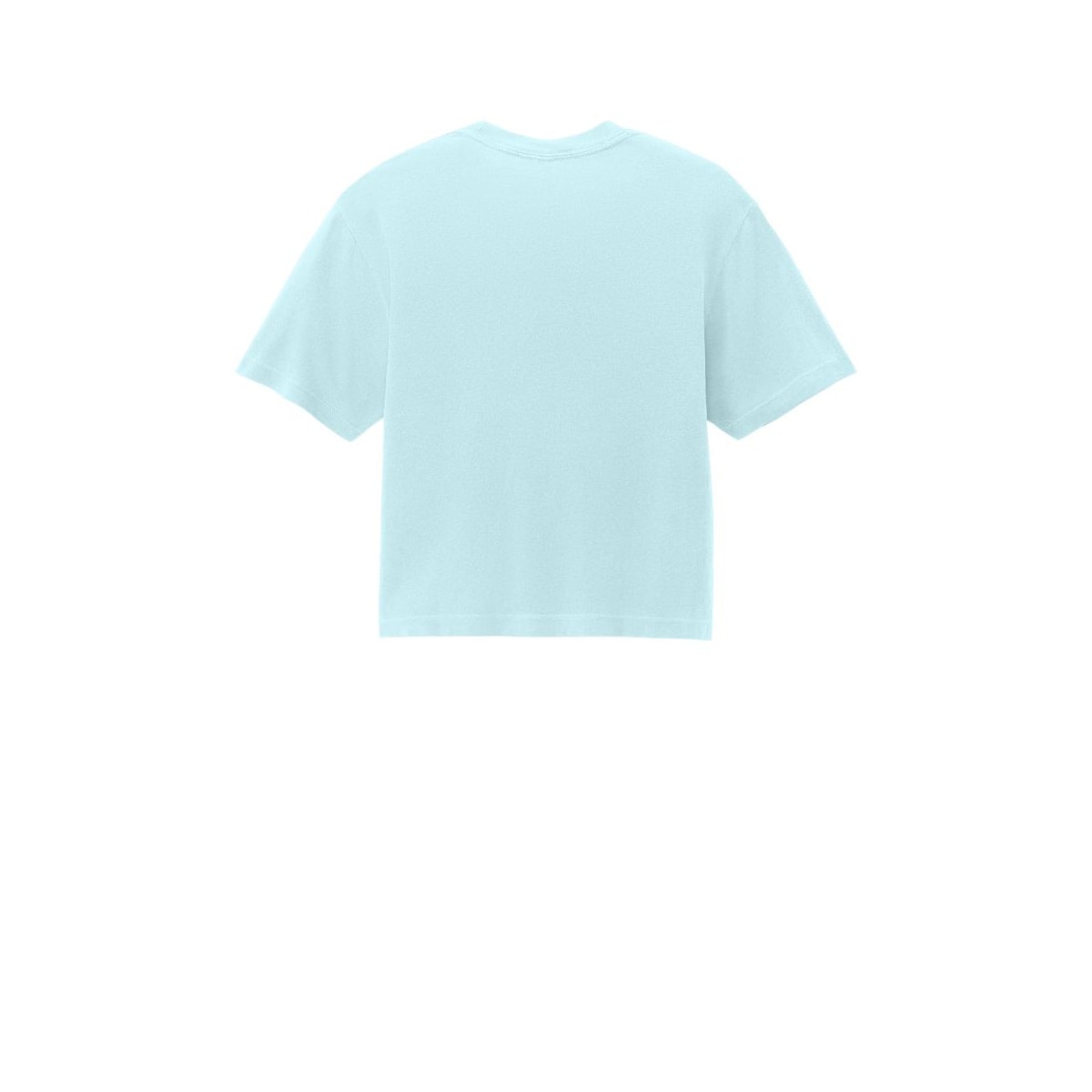 Comfort Colors Women's Heavyweight Boxy Tee — Chambray (Back)