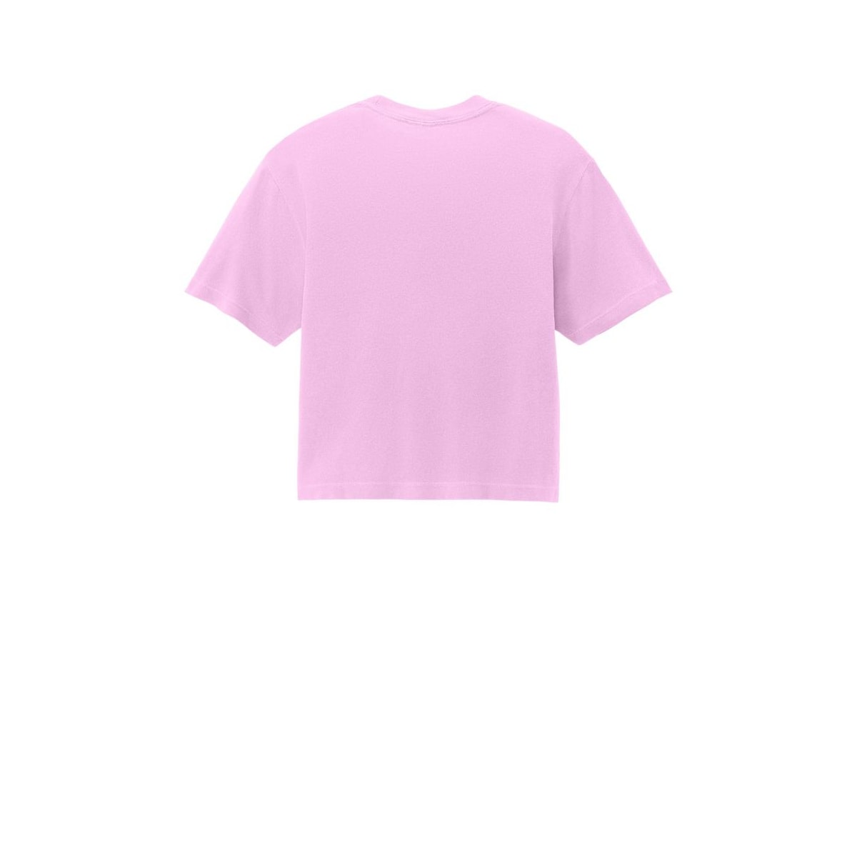 Comfort Colors Women's Heavyweight Boxy Tee — Rose Quartz (Back)