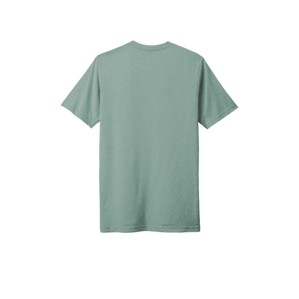 Next Level Apparel Adult Poly/Cotton Tee — Stonewash Green (Back)