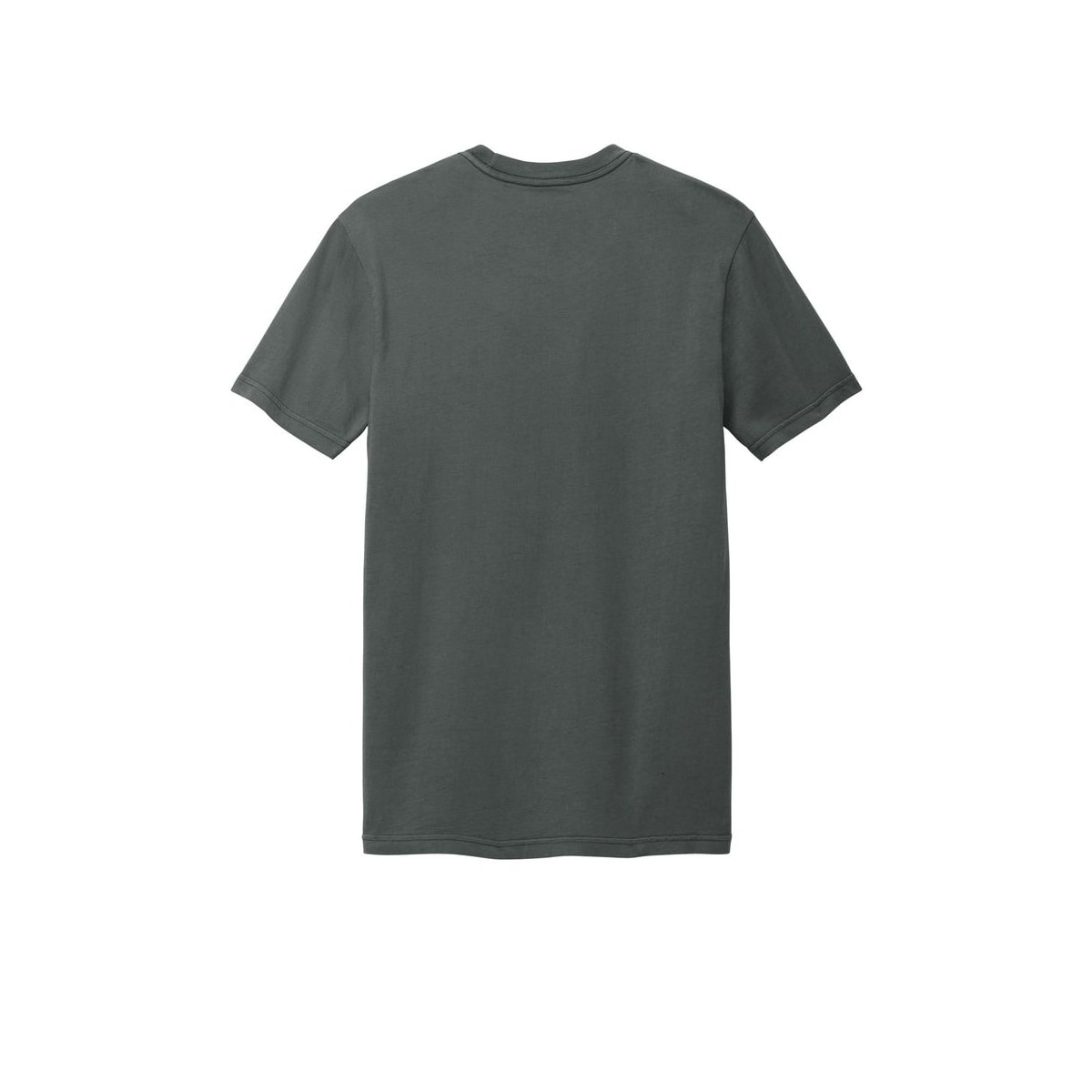 District Soft Wash Garment Dyed Tee — Graphite (Back)
